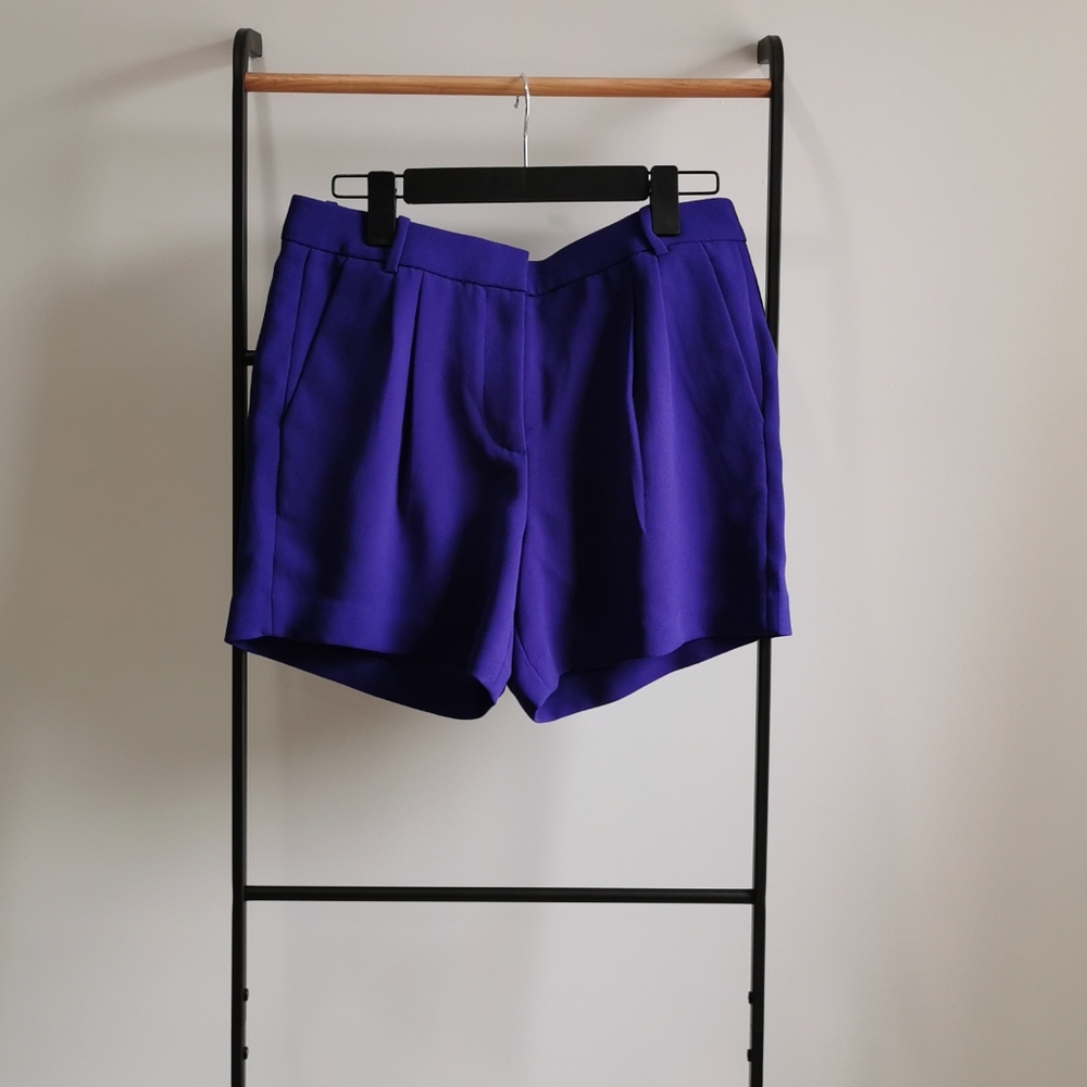Jcrew Purple Shorts SZ 4